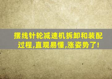 摆线针轮减速机拆卸和装配过程,直观易懂,涨姿势了!