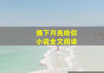 摘下月亮给你小说全文阅读