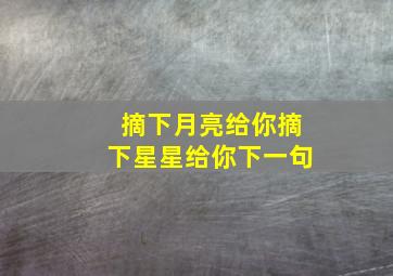 摘下月亮给你摘下星星给你下一句