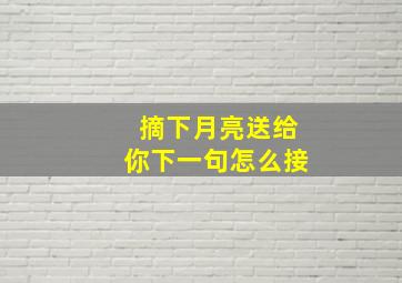 摘下月亮送给你下一句怎么接