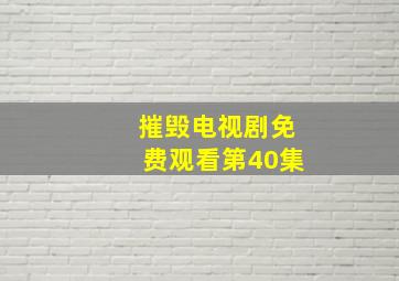 摧毁电视剧免费观看第40集