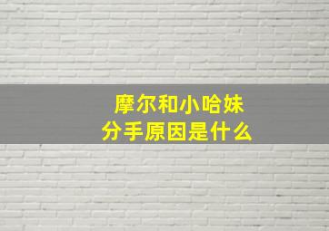 摩尔和小哈妹分手原因是什么