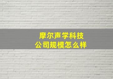 摩尔声学科技公司规模怎么样