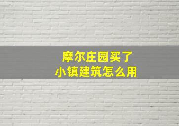 摩尔庄园买了小镇建筑怎么用