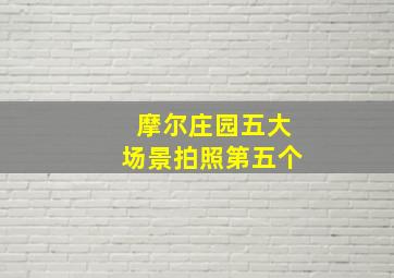 摩尔庄园五大场景拍照第五个