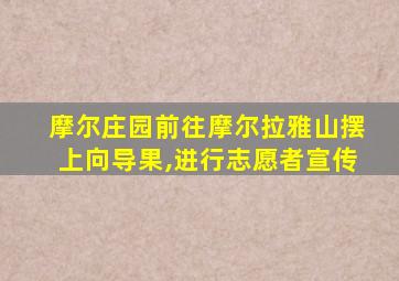 摩尔庄园前往摩尔拉雅山摆上向导果,进行志愿者宣传