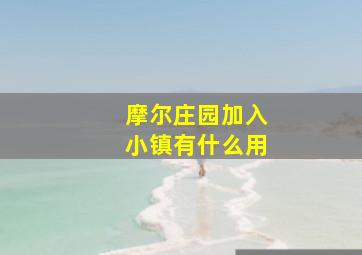 摩尔庄园加入小镇有什么用