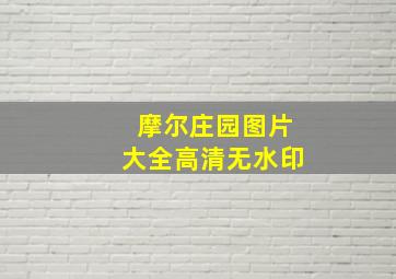 摩尔庄园图片大全高清无水印