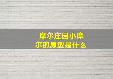 摩尔庄园小摩尔的原型是什么