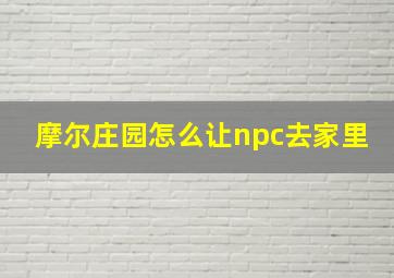 摩尔庄园怎么让npc去家里