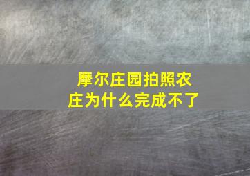 摩尔庄园拍照农庄为什么完成不了