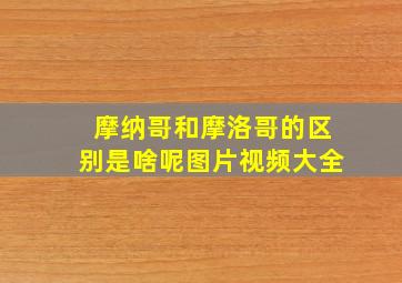 摩纳哥和摩洛哥的区别是啥呢图片视频大全