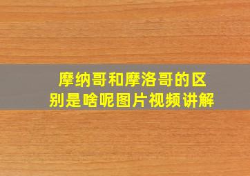 摩纳哥和摩洛哥的区别是啥呢图片视频讲解