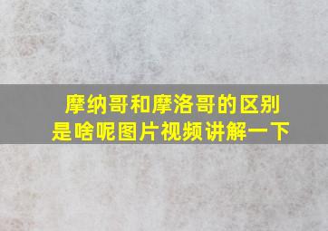 摩纳哥和摩洛哥的区别是啥呢图片视频讲解一下