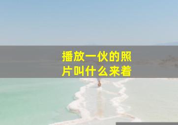 播放一伙的照片叫什么来着