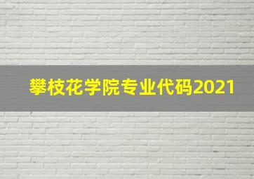 攀枝花学院专业代码2021