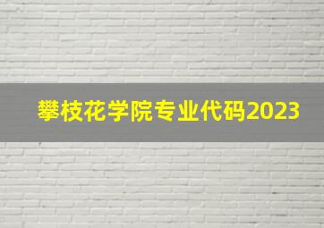 攀枝花学院专业代码2023