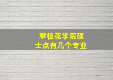 攀枝花学院硕士点有几个专业