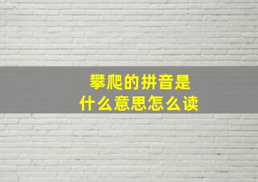 攀爬的拼音是什么意思怎么读