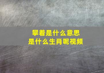 攀着是什么意思是什么生肖呢视频