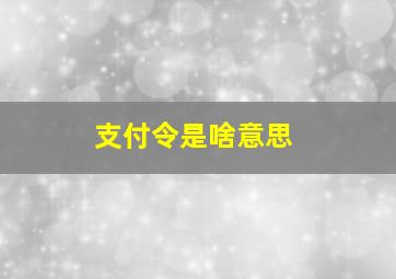 支付令是啥意思