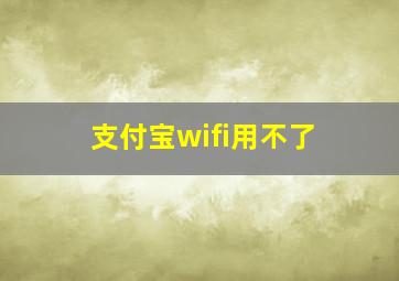 支付宝wifi用不了