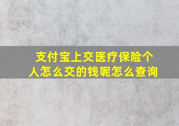 支付宝上交医疗保险个人怎么交的钱呢怎么查询