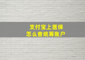 支付宝上医保怎么查统筹账户