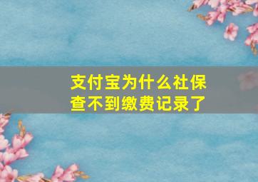 支付宝为什么社保查不到缴费记录了