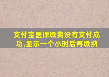 支付宝医保缴费没有支付成功,显示一个小时后再缴纳