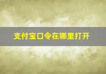 支付宝口令在哪里打开