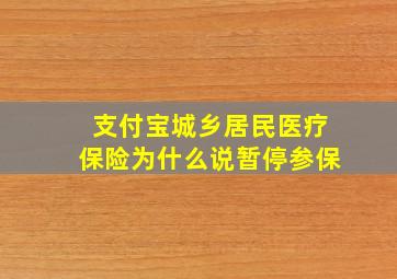 支付宝城乡居民医疗保险为什么说暂停参保