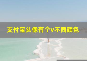 支付宝头像有个v不同颜色