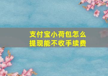 支付宝小荷包怎么提现能不收手续费