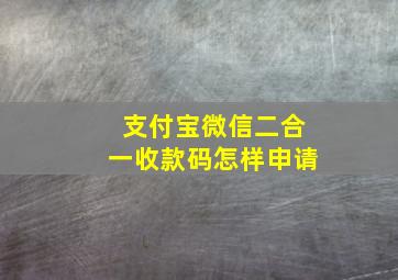 支付宝微信二合一收款码怎样申请