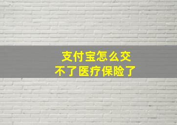 支付宝怎么交不了医疗保险了