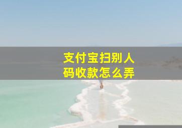 支付宝扫别人码收款怎么弄