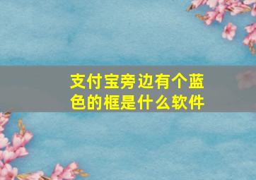 支付宝旁边有个蓝色的框是什么软件