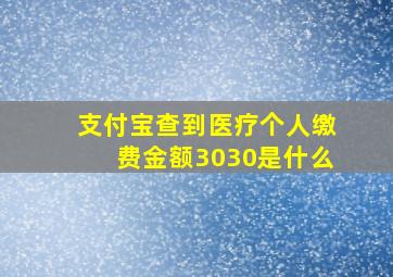 支付宝查到医疗个人缴费金额3030是什么