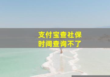 支付宝查社保时间查询不了