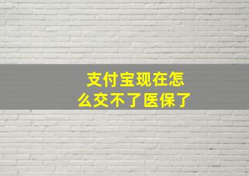 支付宝现在怎么交不了医保了