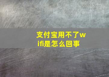 支付宝用不了wifi是怎么回事