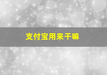 支付宝用来干嘛