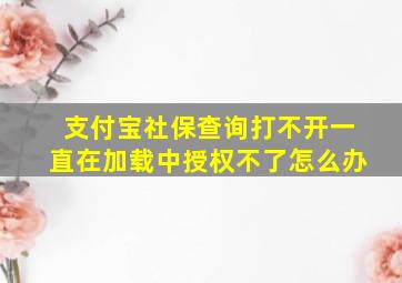 支付宝社保查询打不开一直在加载中授权不了怎么办