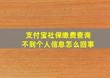 支付宝社保缴费查询不到个人信息怎么回事