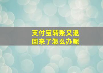 支付宝转账又退回来了怎么办呢