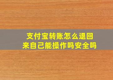 支付宝转账怎么退回来自己能操作吗安全吗