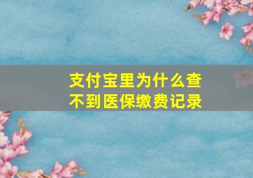 支付宝里为什么查不到医保缴费记录