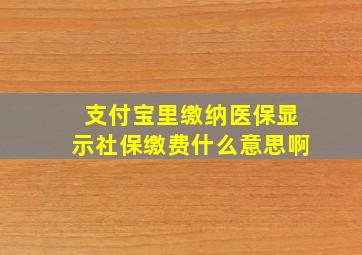 支付宝里缴纳医保显示社保缴费什么意思啊