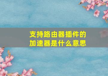 支持路由器插件的加速器是什么意思